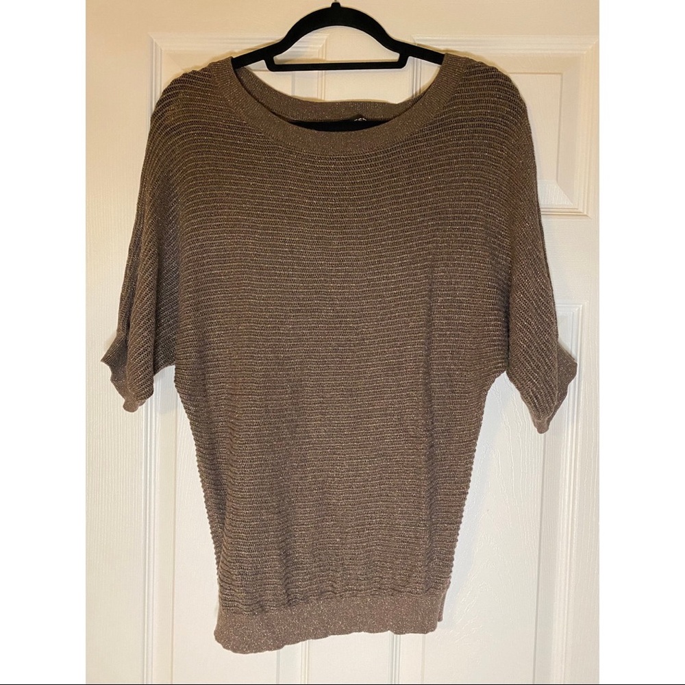 Express Sparkly Sweater